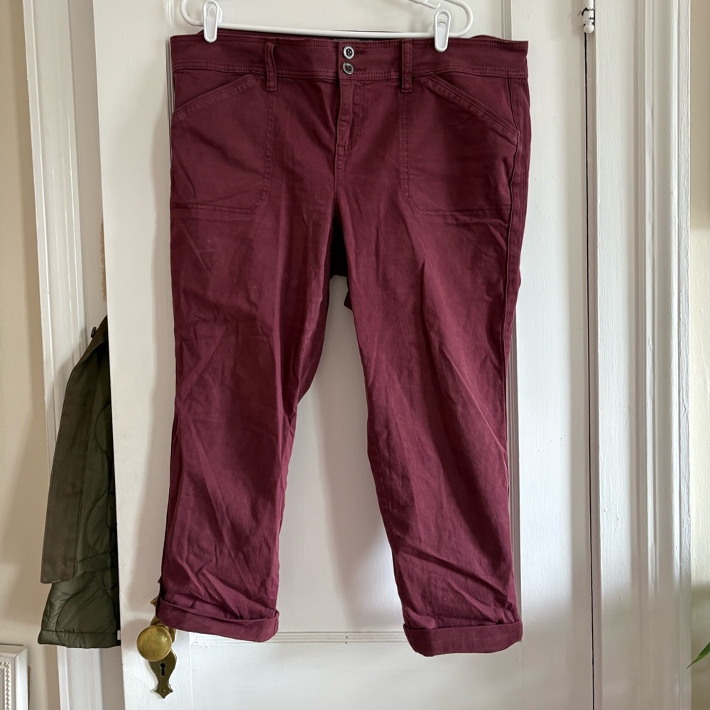 torrid Wine-Colored Skinny Pants